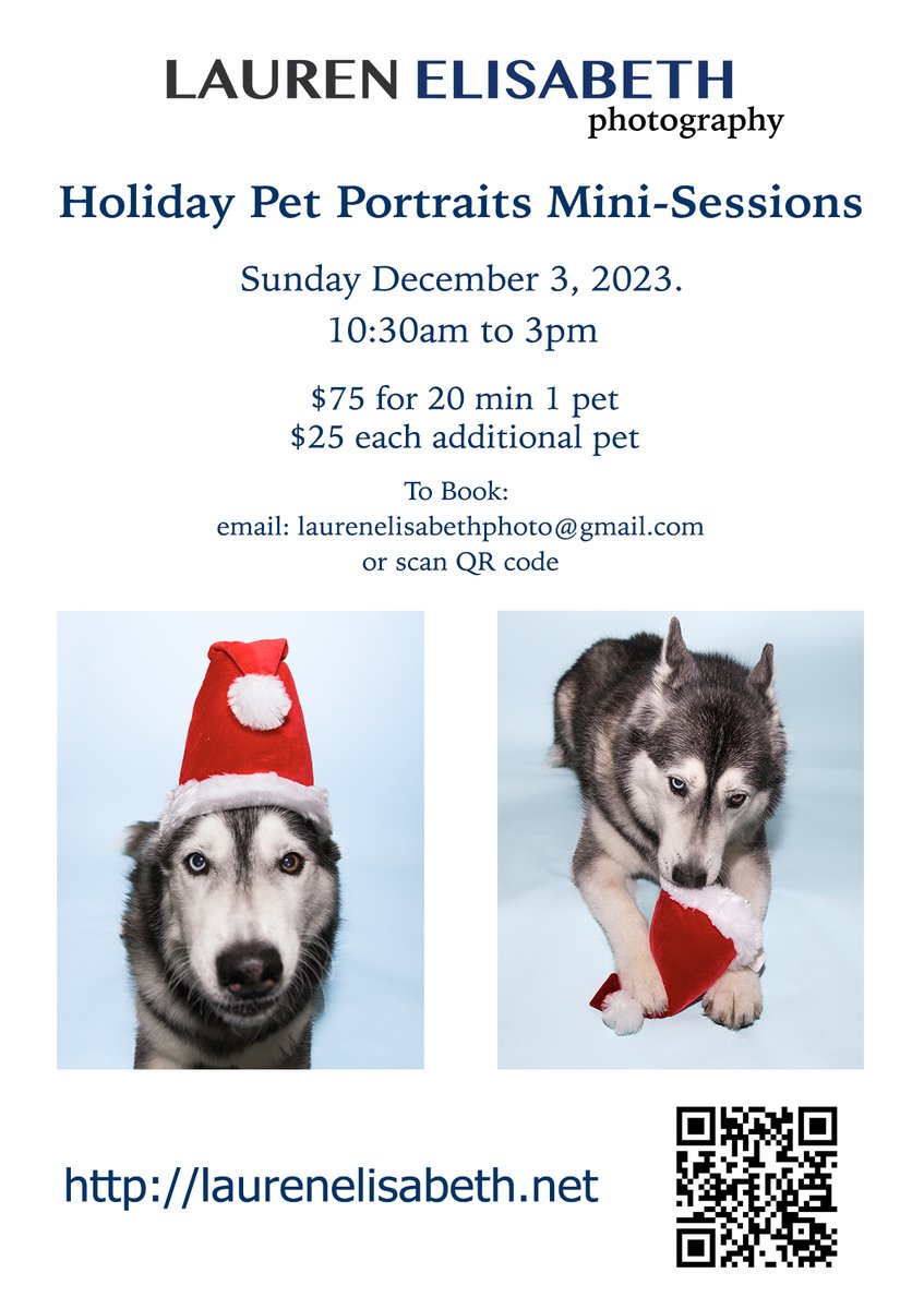 Los Angeles friends - want cute pics of your dogs? #petportraits #holidayportraits