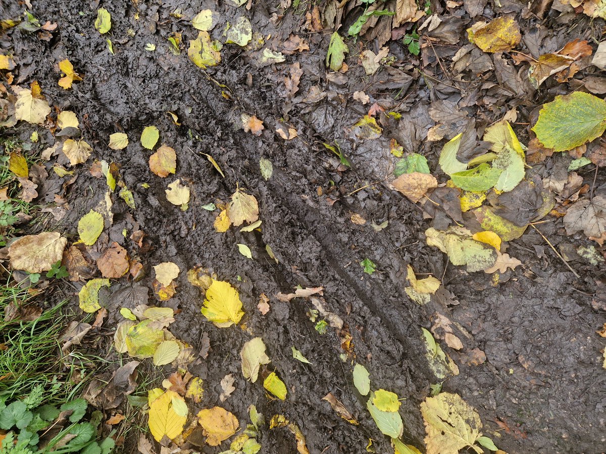 tracyhodge2's tweet photo. Fabby 1.4mile very wet &amp; very muddy toddler walk this morning &amp; yes they did walk through the deep mud in the wood! Loved it &amp; loved the swan &amp; ducks on our canal; so lucky to live so close to it! #EYFS #EyTagTeam #learning #children #funtimes #mud ❤️😂 https://t.co/cxpWwcy5F2