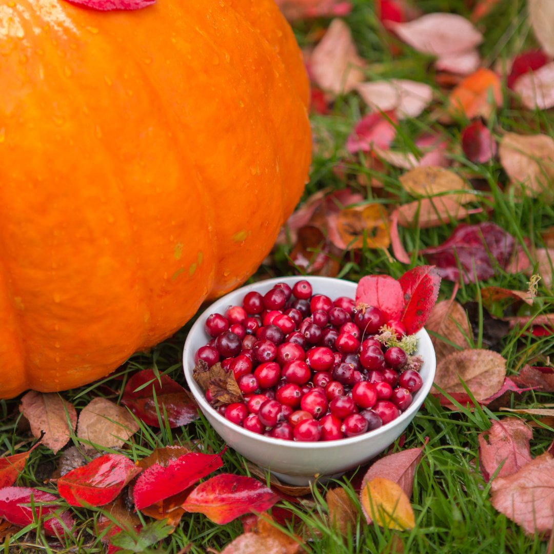 Cranberry Institute tweet media