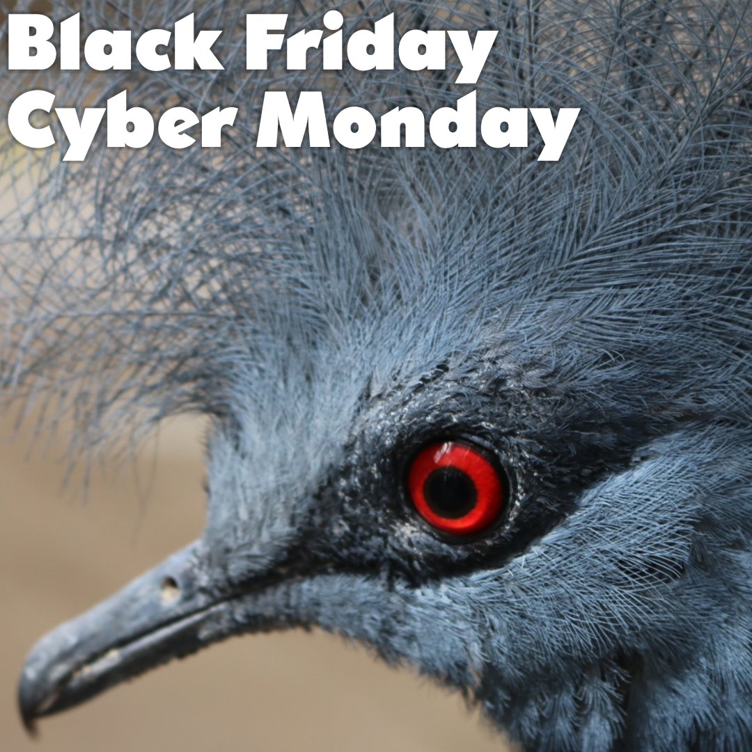 Keep your eye out for a Bird Kingdom discount this Black Friday/Cyber Monday!  November 24 to 27 will be a great time to stock up on gift tickets for the holidays!

#bfcm #birdkingdom #blackfriday