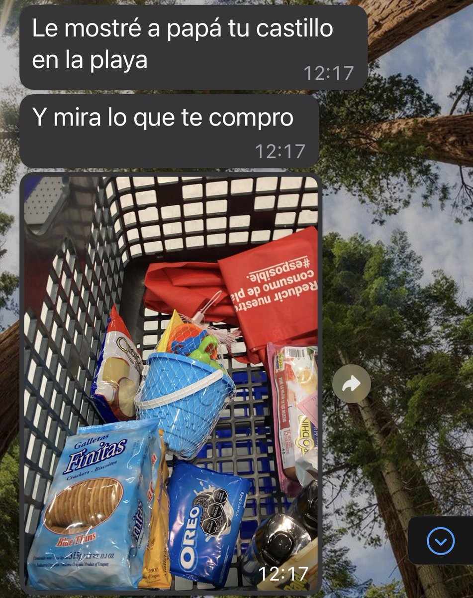 comoelawa's tweet photo. Ayer hice un castillo de arena 

Mi suegro hoy: https://t.co/qiVDAV1ZZL