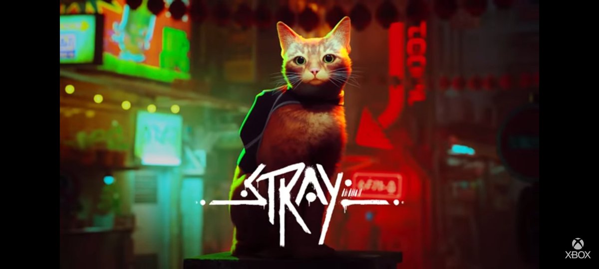 Missy.ˊˎ-

I did it and got my XBOX (in Bundle with Diablo IV) + another Controller in the Black Week deal~💕
And as a plus, I still did buy the game "Stray", and it looks just SOOO cute and cool!
Already love it~❤️

My WiFi is still not working, but I got all~👐