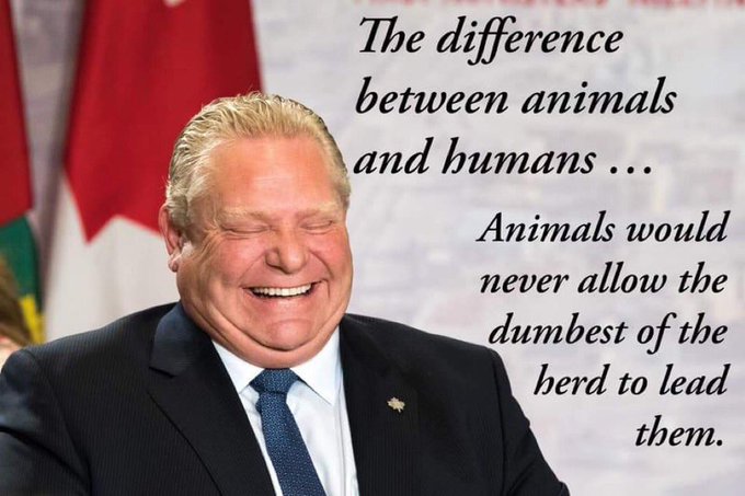 jl_bryant58654's tweet photo. @FrameToFrameBJ @Gasp4Change @GreenbeltAllies #MasterOfNothing
#DougFraud 
#DougFordIsCorrupt
#DougFordMustResign 
#NATUREequalsLIFE https://t.co/WSQgvYuozj