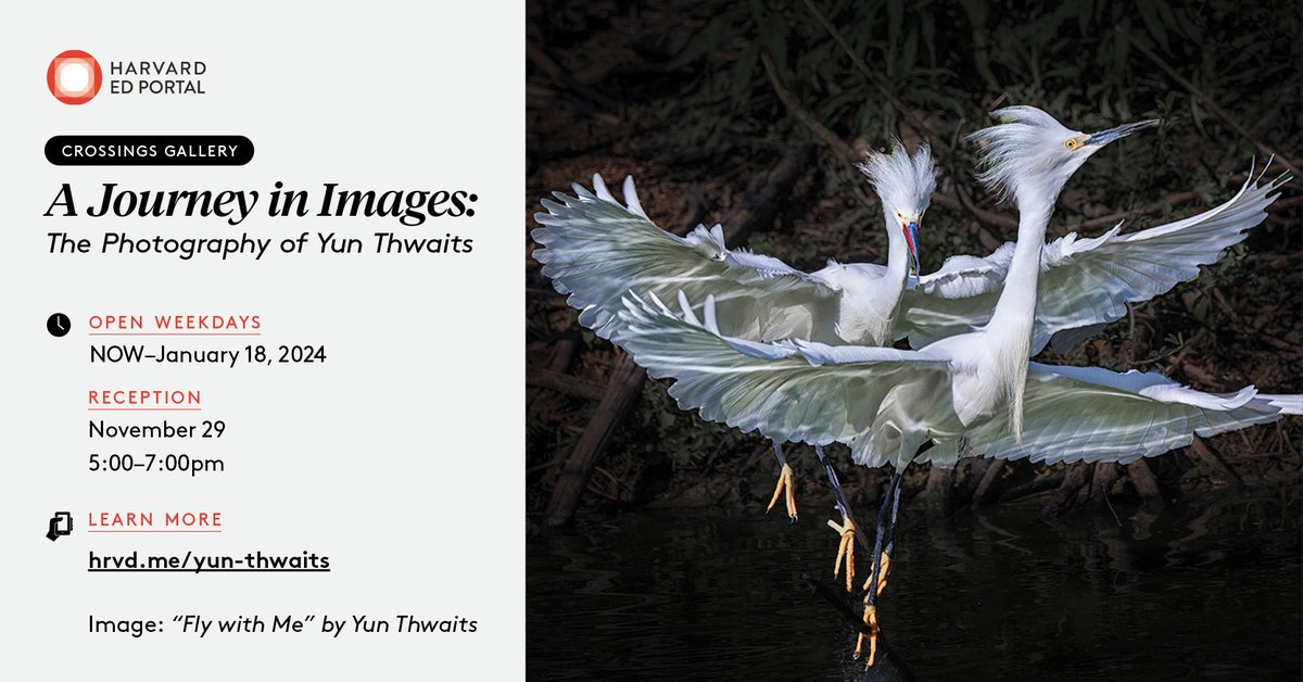 Don't miss an incredible evening celebrating the Harvard Ed Portal's newest photography exhibition by Yun Thwaits on November 29! View Yun's stunning images and enjoy live music, drinks, and dumplings. 

RSVP for free: hrvd.me/reception-1129