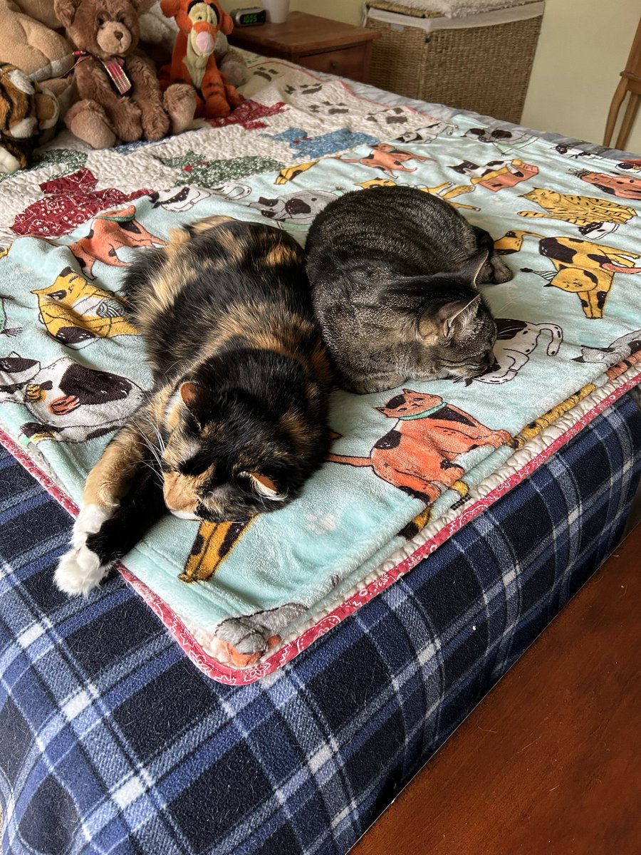 Dad’s in laws are here, so I’m hiding in the bedroom with my stinky brother.