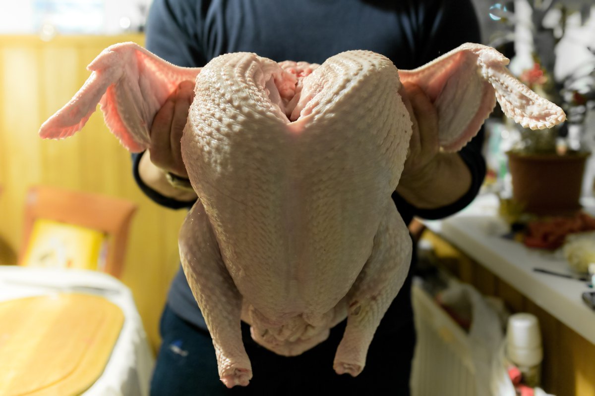 napoleonmachine's tweet photo. If you follow us on social media, you may have caught last year's Thanksgiving post spotlighting our pet turkey, Boomer.  He was a great pet and friend to all. 

HOWEVER, inflation is a real problem.  #HappyThanksgiving https://t.co/Mu24Pu8ETR