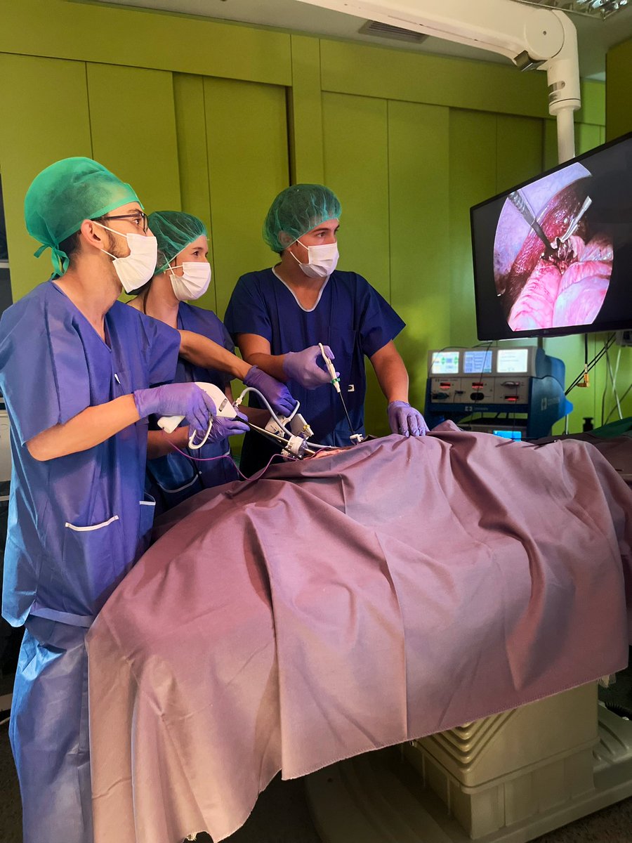 CTF ASACEC tweet media