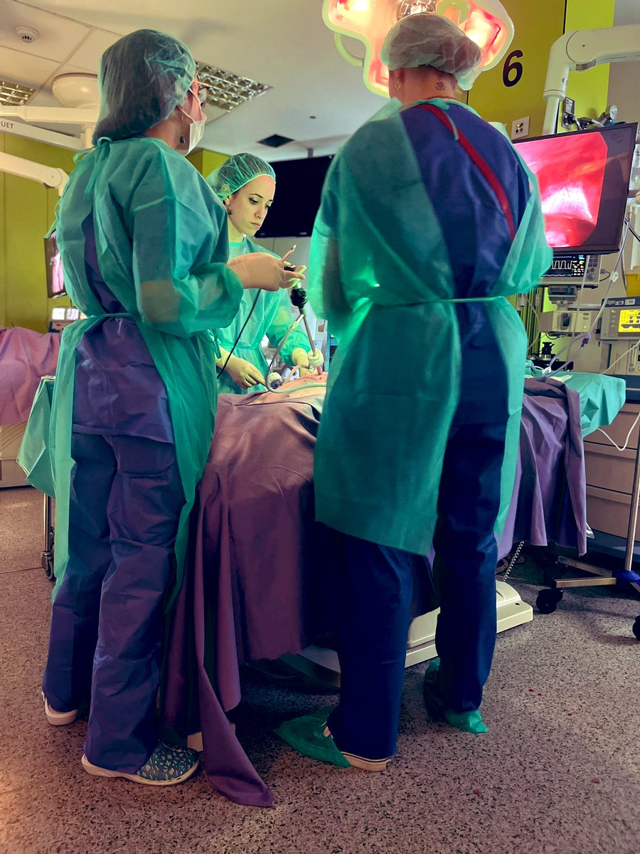 CTF ASACEC tweet media