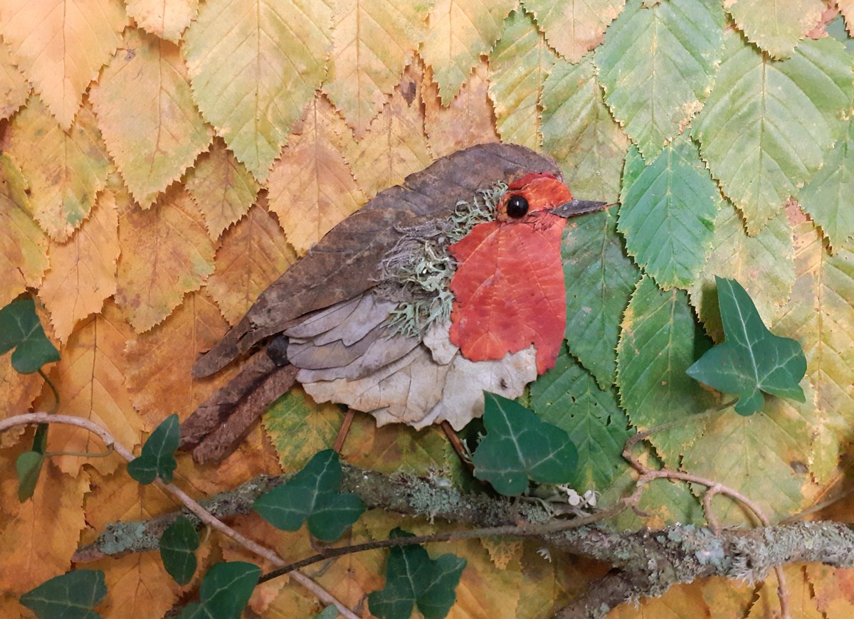 I just had to have another go at making a Robin, after seeing a Bramble leaf that was just the right colour for the red breast feathers. I wasn't attempting realism last time! 😀#CompostableAutumnArt made entirely from leaves, lichen, twigs and a berry!🍂🍁🍂 <a href="/Natures_Voice/">RSPB</a>