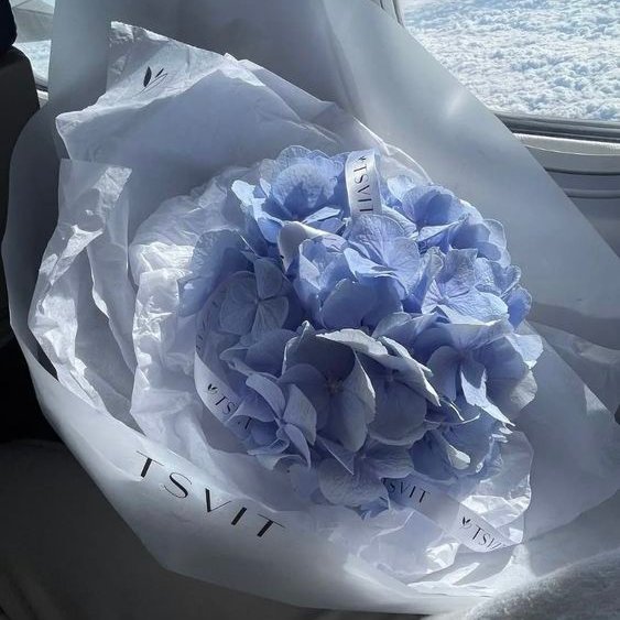 ⠀⠀
Hydrangea, one of its meaning is gratitude of being understood.
⠀⠀