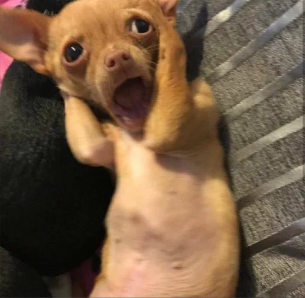 بچها من تازه اومدم یه حمایتمون نشه؟
ریت = ریت 
فالو = بک
مرسی که حمایت میکنین💋