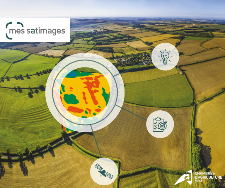 [OAD] Avec <a href="/MesSatimages/">MesSatimages</a> connecté à #MesParcelles, je quantifie la biomasse et la nutrition azotée sur mes cultures de blé et colza pour piloter facilement mes apports d'azote. 🛰️

Pour en savoir plus👉 mesparcelles.fr/votre-besoin/p…