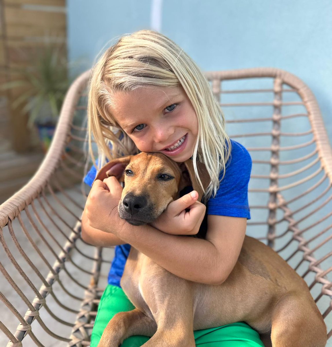 PotcakeNFT's tweet photo. FLY TO FREEDOM: Available for adoption in Florida, Autumn recently flew from Anguilla and is currently being fostered in Delray Beach, FL. She is now looking for her forever home.

About Autumn 🧵👇 https://t.co/HnOeXFh7JX