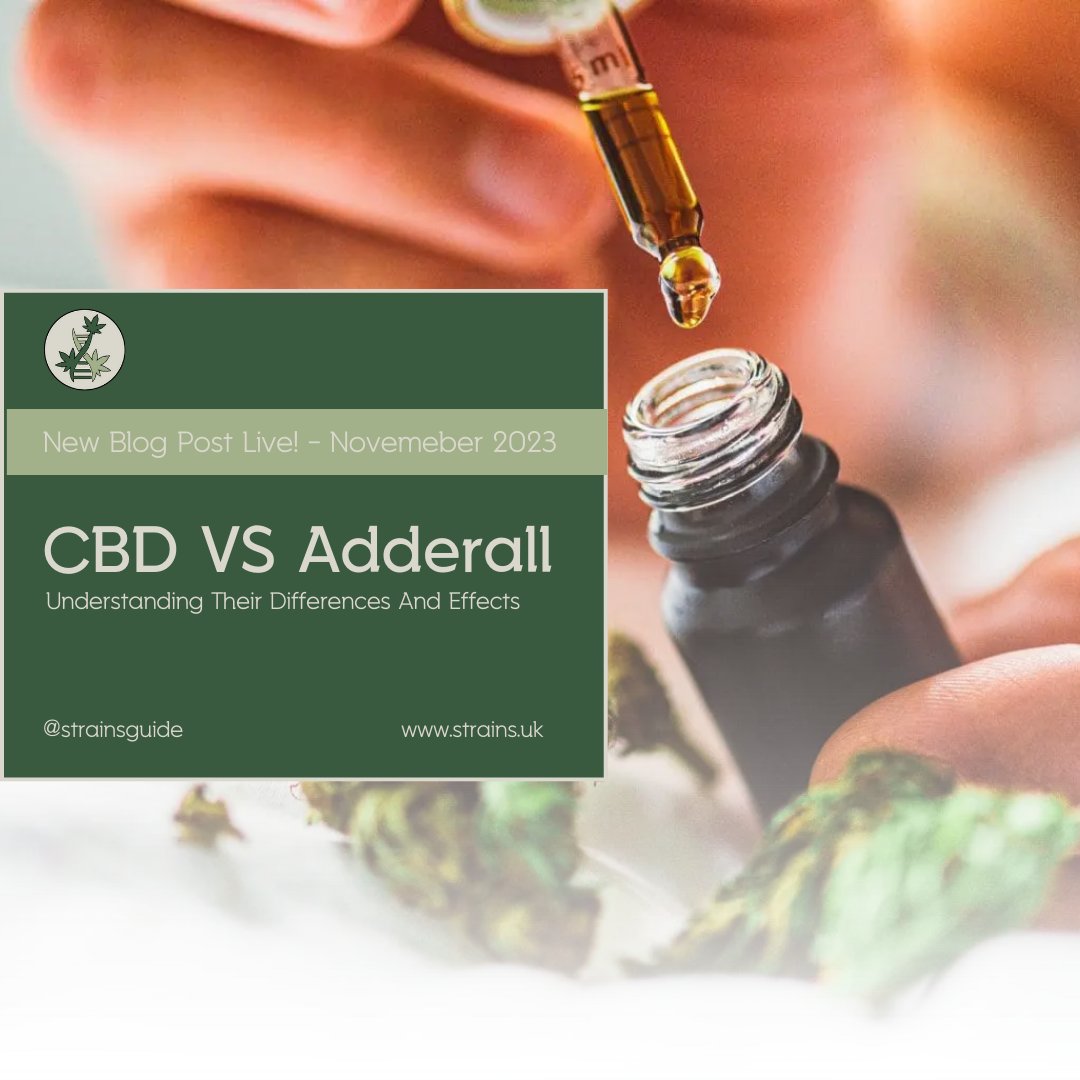 Dive into our latest blog to compare CBD and Adderall – two powerhouses in wellness, yet worlds apart in effects and uses. Discover which one aligns with your health journey!

Read more: bud.how/w35