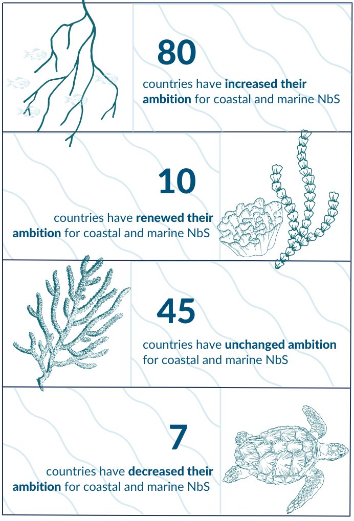 In support of the Global Stocktake to conclude at @COP28, @ocean_climate & partners reviewed 148 NDCs, and report an increasing recognition of the #ocean’s potential 📈 🌊 Discover the report here: bit.ly/4771Vci