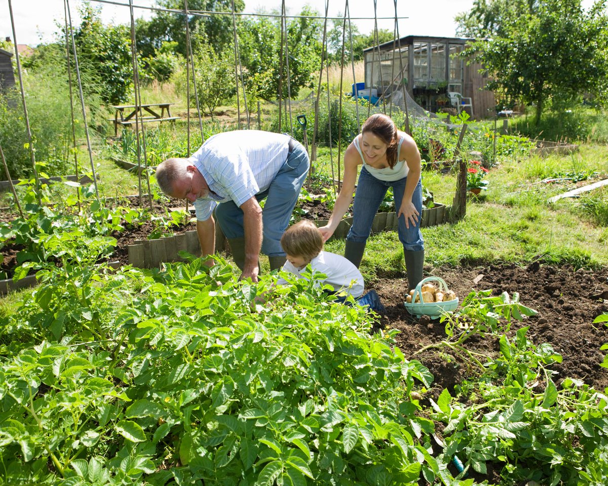 Cheshire Community Action tweet media