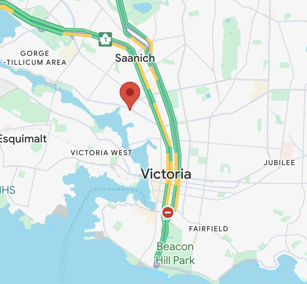 VibrantVictoria's tweet photo. 🔹Cougar sighting in Victoria’s Burnside Gorge neighbourhood🔹
A big cat has reportedly been sighted this morning in Victoria’s #BurnsideGorge neighbourhood at Jutland Road and Dunedin Street at the Selkirk Waterfront community.
There is an elementary school nearby. Please keep your kids and pets close.
Cougars often come into the city following food sources like black tail deer. #yyj