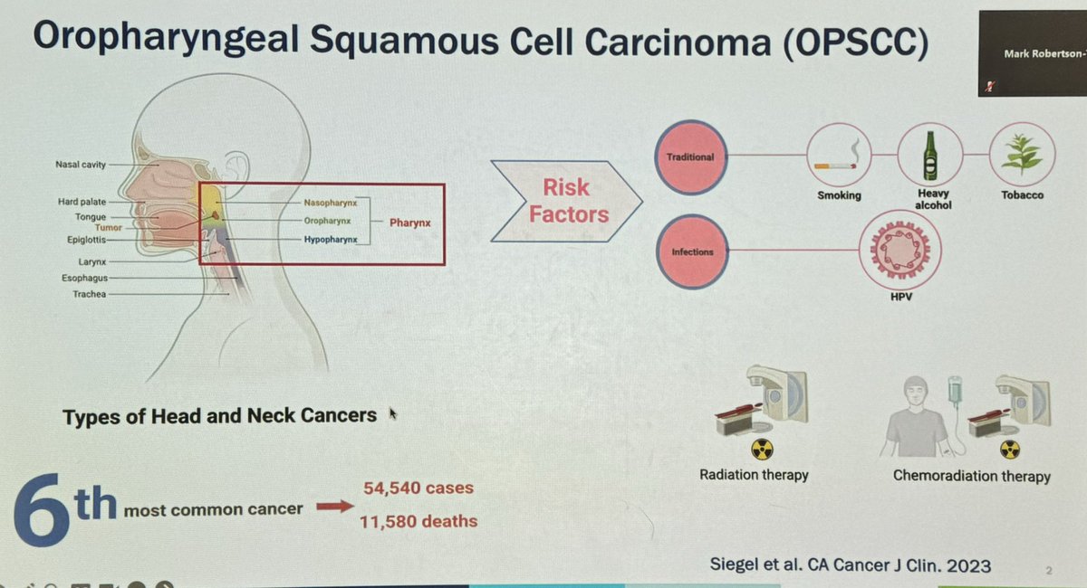 ara_anderson's tweet photo. Next up is @ReneeBradyPhD lab member @enawoode practicing her @mathonco @CancerBiol_PhD talk, Utilization of Circulating Tumor Human Papillomavirus (ctHPV) DNA For Treatment De-escalation in HPV+ Oropharyngeal
Squamous Cell Carcinoma https://t.co/a0RiOX7wKu