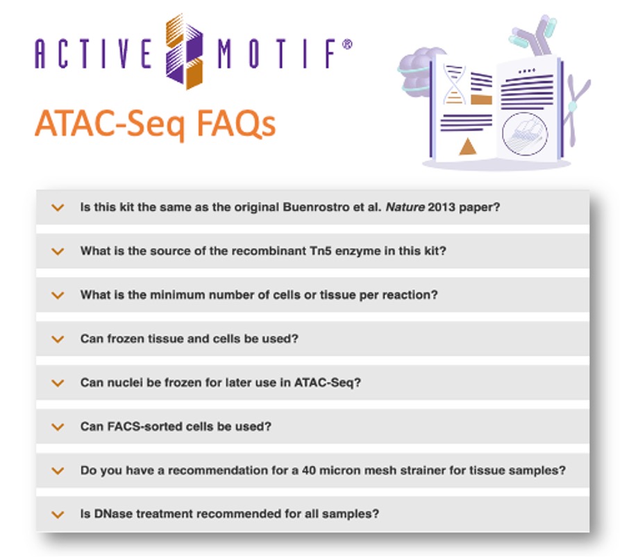 Be successful using ATAC-Seq with FAQs from the #Epigenetics Experts at Active Motif 🧬 
 
Get the full list of FAQs ➡️ bit.ly/461YWle
 
#ATACSeq #Genomics #immunooncology #epiexperts