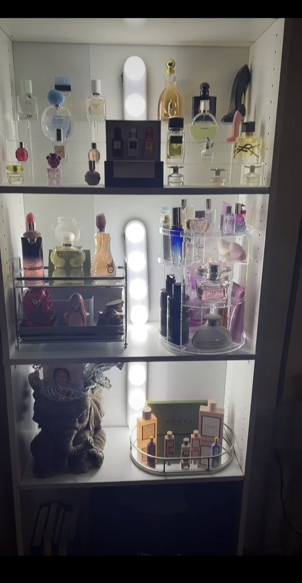 ilive4cheetah's tweet photo. Working on building my collection… https://t.co/AVkLcRZ9ce