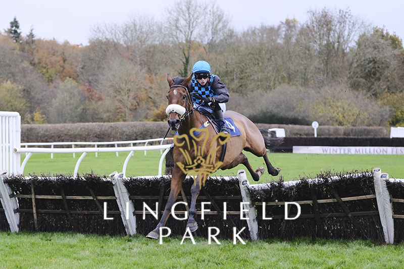 RACE 5 RESULT – BetMGM: It's Showtime 'Intermediate' Handicap Chase 🥇 Opperation Manner Jockey: @ilescameron Trainer: @tflacey 📷: John Hoy #LingfieldPark | #LINWJR