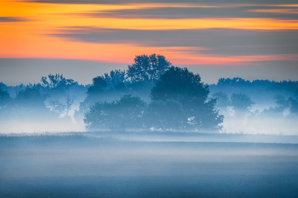 dcaskey_fineart's tweet photo. This was taken a few weeks ago in the rural area of Woodland Michigan. A pre-sunrise blue hour shot of a foggy field and trees. Thoughts?
---
#puremichigan #puremichiganders #michigan #foggymorning #countryside
#misty #woodlandmichigan
#blackfriday #artsale #fineart https://t.co/8VtFAGRx69