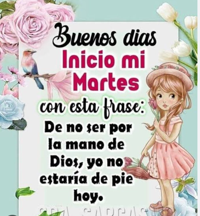 MasiRamoCasta's tweet photo. Buenos días https://t.co/wcNrlPpi3k
