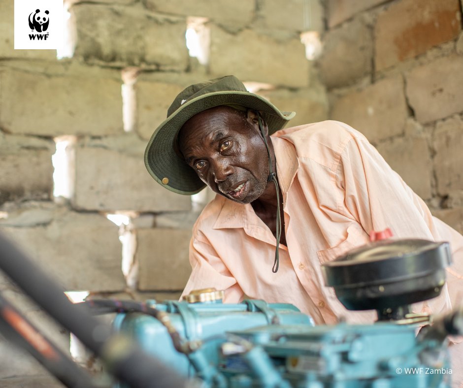 wwfzambia's tweet photo. On Thursday the 23rd of November, 2023, join us with People In Need as we work closely with communities and stakeholders to ensure sustainable rangeland and forest management on the Barotse Floodplains. 
#CommunityEngagement 
#SustainableManagement
#WWFZambia
#TogetherIsPossible https://t.co/aLeWgnI2jv