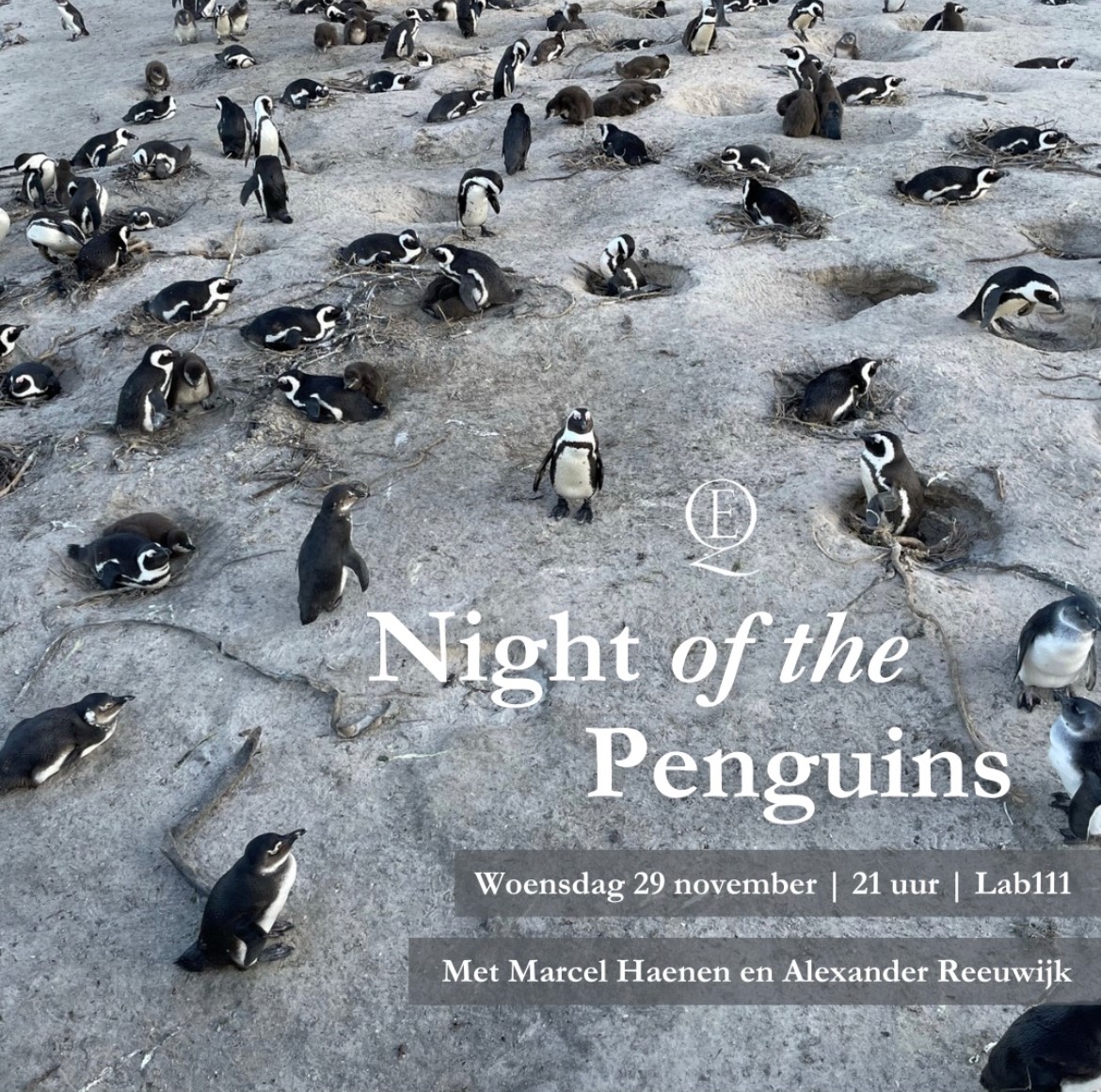 MarcelHaenen's tweet photo. Een avond praten over de knapste vogels op aarde in de mooiste cinema van Amsterdam Lab111.
Night of the Penguins, woensdagavond 29 nov. Een gesprek olv Alexander Reeuwijk over Pinguïns en de mensen en daarna de documentaire March of the Penguins. #Lab111 https://t.co/4Z1GYRkCy5 https://t.co/lYfwupSZpf