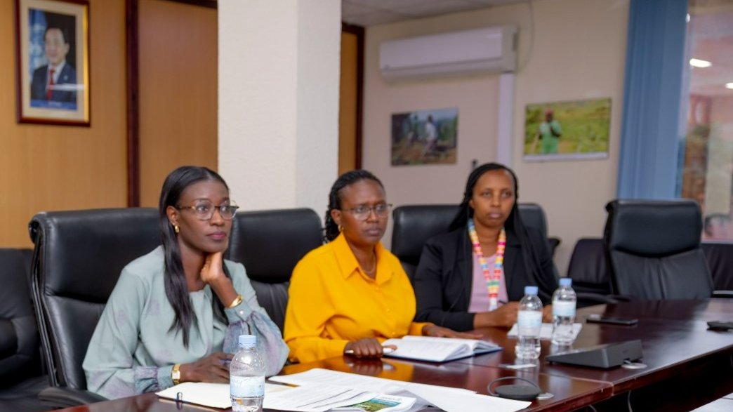 FAO in Rwanda tweet media