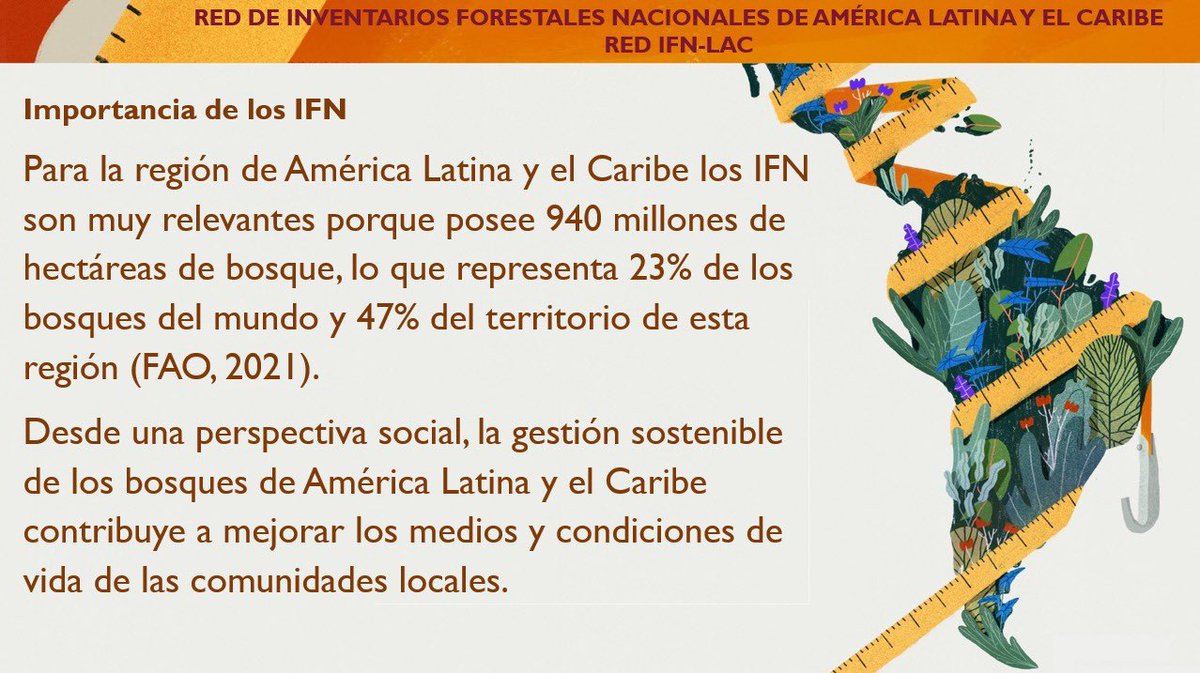 FAO_Colombia's tweet photo. "La información forestal es necesaria para entender y evaluar la influencia de las acciones humanas sobre el medio ambiente y el cambio climático, y es esencial para apoyar la toma de decisiones para la gestión sostenible de los bosques a nivel nacional, regional y mundial" https://t.co/NgZMLyTC2q