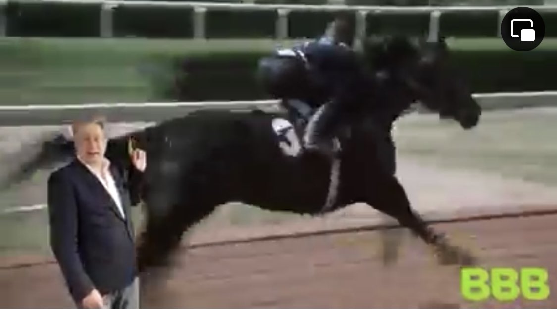ErikuutLoo's tweet photo. Twee jaar terug was @BoerBurgerB de “Dark Horse” wat mij betreft zijn we nu de “Underdog” . 

Blijft overeind :  

 Ik ben trots om BBB’er te zijn https://t.co/8N21HN5NCf