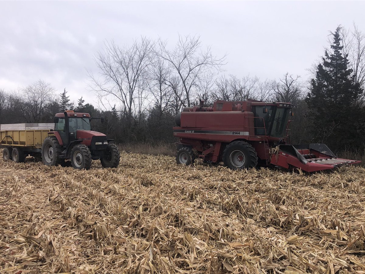 Frontarock Farmer tweet media