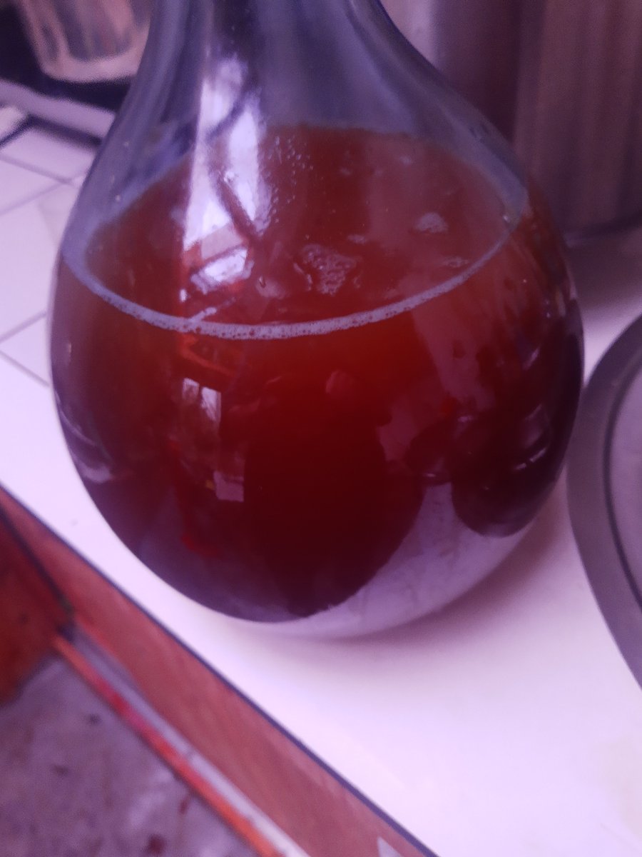 Scelling's tweet photo. We zijn een nieuw Cranberry bier van 4% aan het ontwikkelen voor het komende jaar 2024...een heel mooi biertje na een jaar ontwikkelen... https://t.co/9jvDtwBryr
