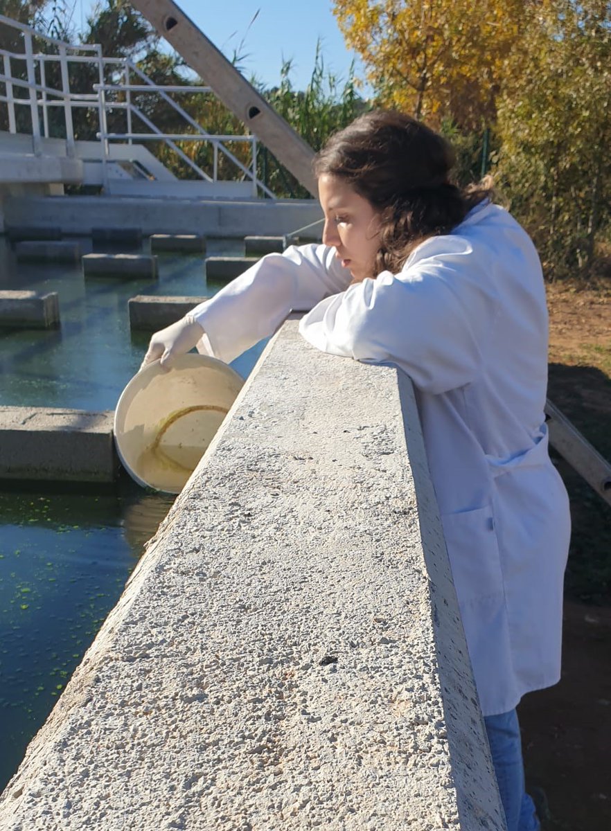 LIFE_BIODAPH2O's tweet photo. 💧 📣 The first individuals of 𝘋𝘢𝑝𝘩𝘯𝘪𝘢 𝘮𝘢𝘨𝘯𝘢 have been inoculated into the #BIODAPH reactors at the demo site in Quart (Girona). It has been necessary to wait almost a month before the #daphnia inoculation to allow the growth of the biofilm on the walls and lamellas. https://t.co/QW7XsO47a9