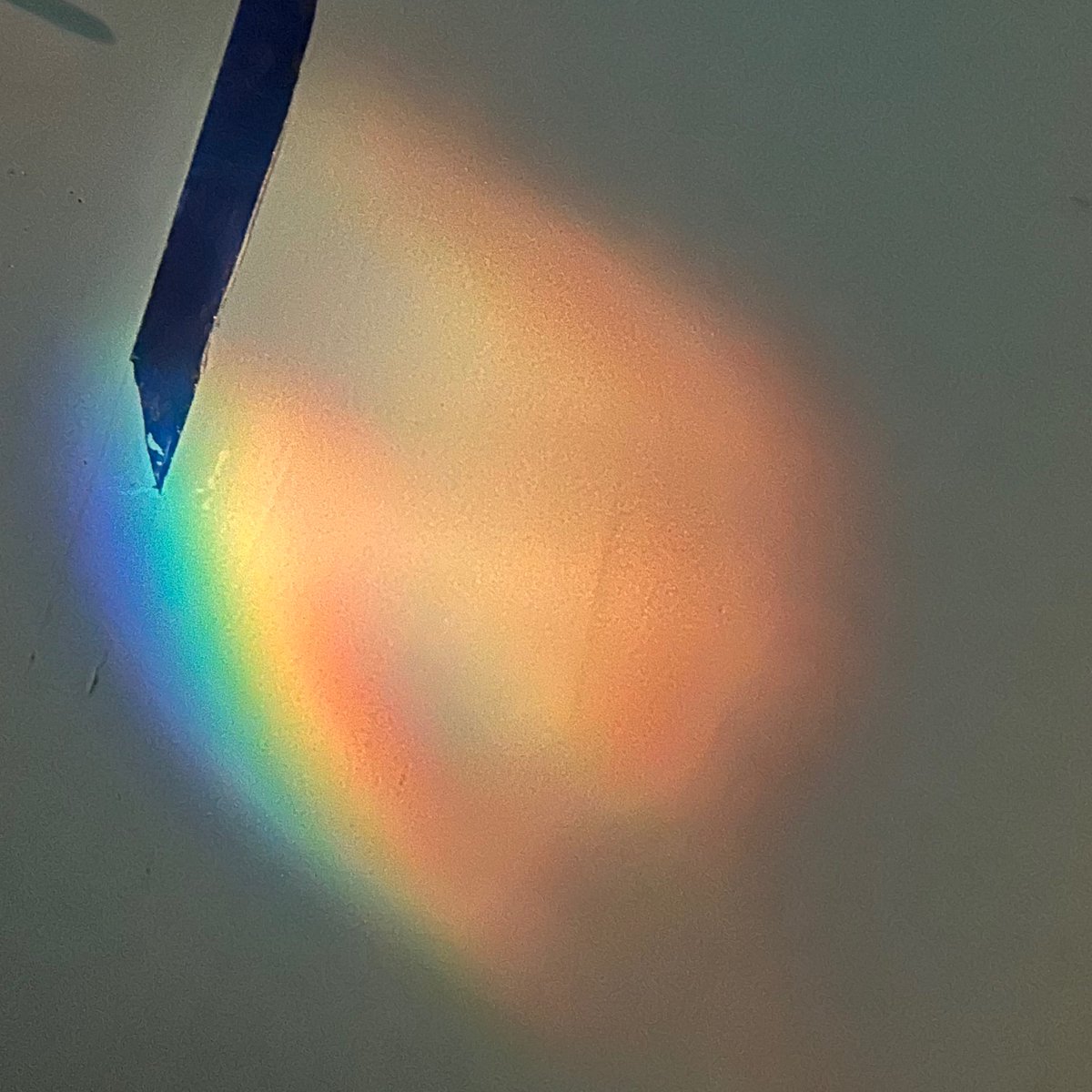 Dosbarth Gwenyn tweet media