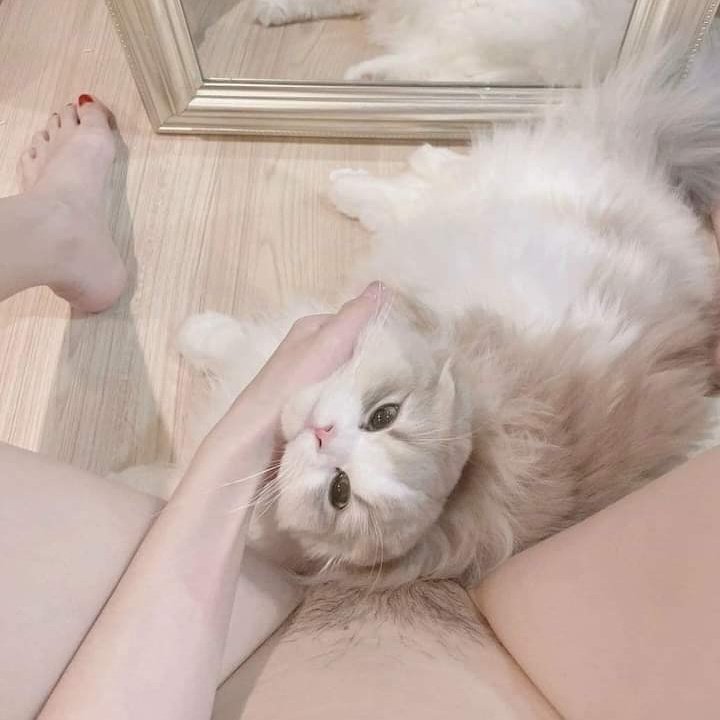 MIYAMOTOLAY's tweet photo. #NewProfilePic https://t.co/CH75Nu2JSA