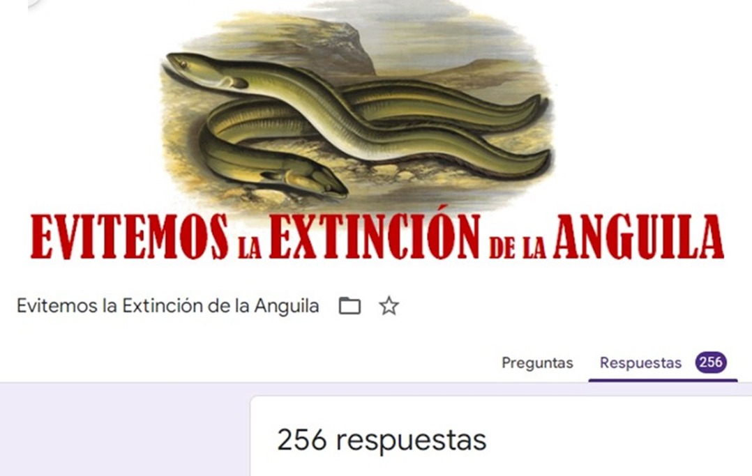 Miguel Clavero (@chikichanka) on Twitter photo Recuerda que sigue abierta esta búsqueda de apoyos en el mundo de la investigación para pedir el cese de la explotación de la anguila
Si te parece razonable y aún no lo hiciste:
Firma
Difunde
forms.gle/eFutrEQpePRLdG… Recuerda que sigue abierta esta búsqueda de apoyos en el mundo de la investigación para pedir el cese de la explotación de la anguila
Si te parece razonable y aún no lo hiciste:
Firma
Difunde
forms.gle/eFutrEQpePRLdG…
