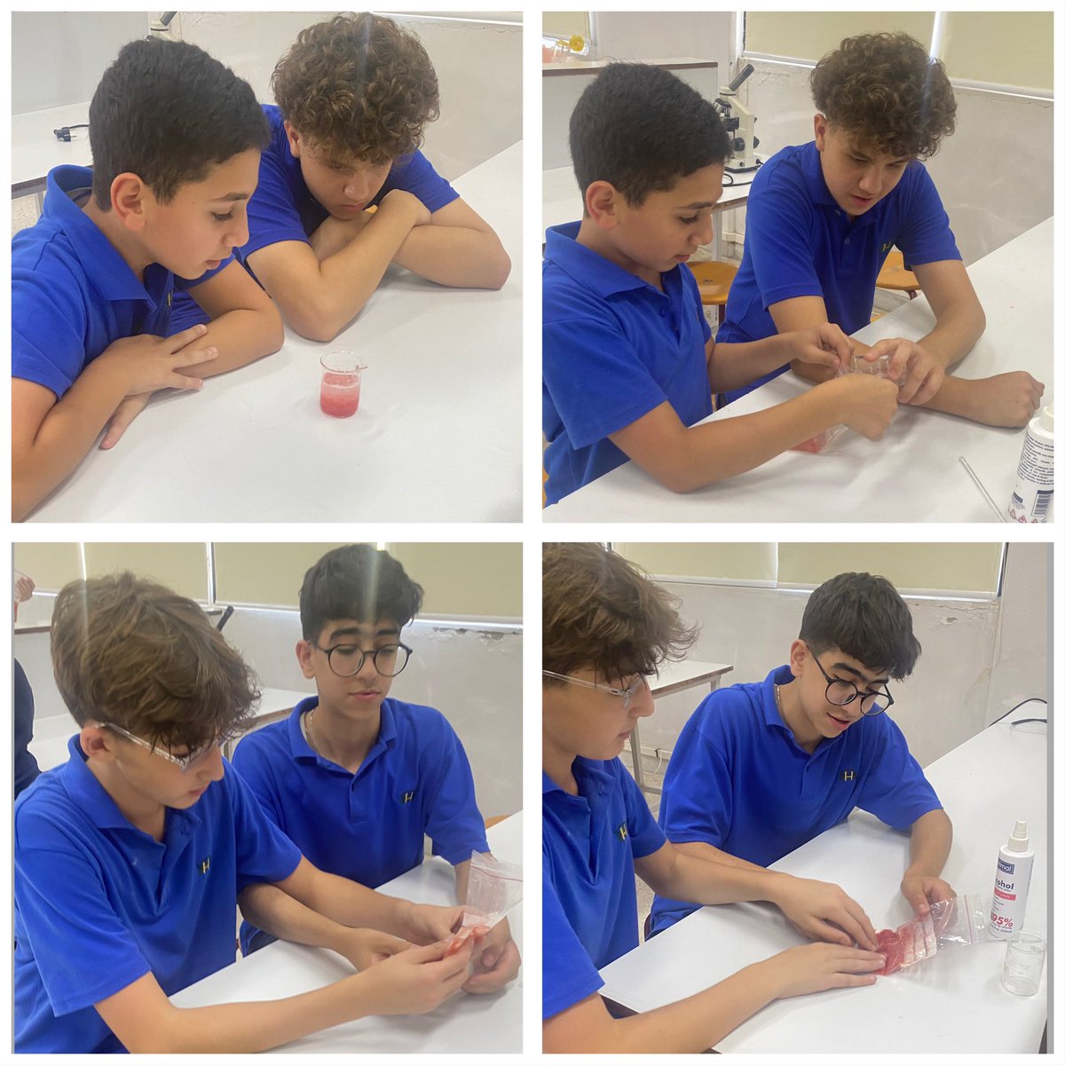BioRHHS's tweet photo. AP 9 students extracting DNA from strawberries .@RHHS_Saida @BioRHHS https://t.co/KP2Jca6otK