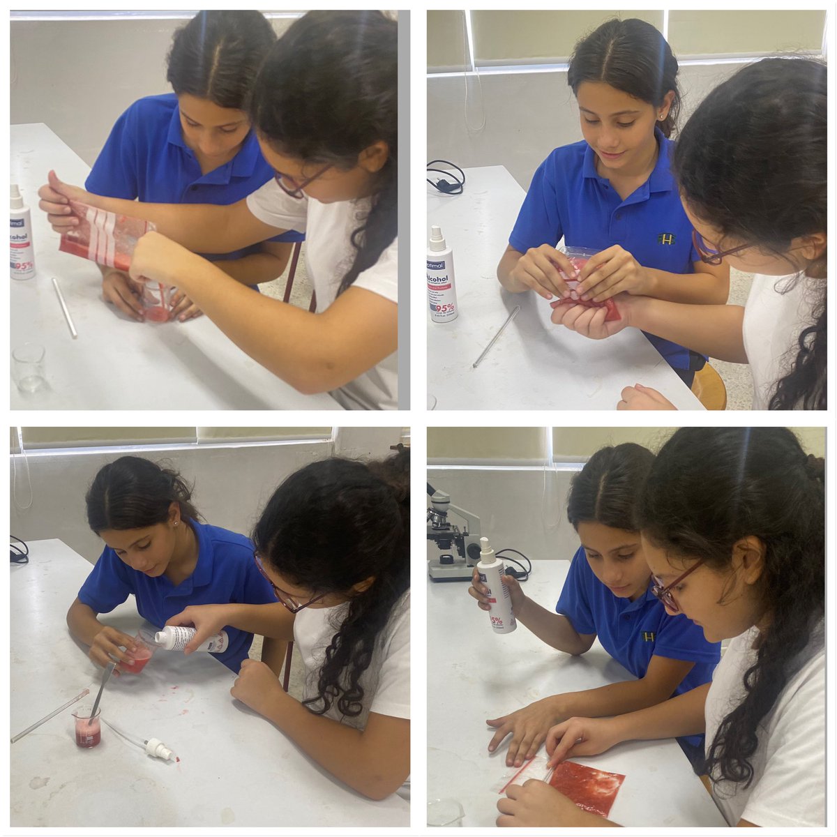 BioRHHS's tweet photo. AP 9 students extracting DNA from strawberries .@RHHS_Saida @BioRHHS https://t.co/KP2Jca6otK