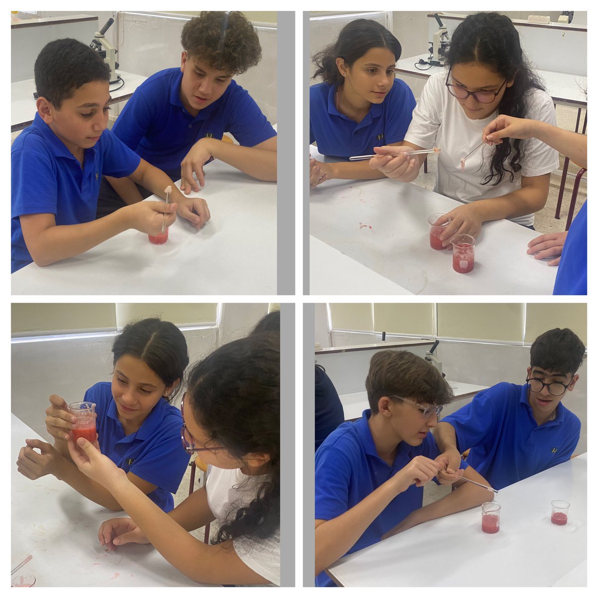 BioRHHS's tweet photo. AP 9 students extracting DNA from strawberries .@RHHS_Saida @BioRHHS https://t.co/KP2Jca6otK