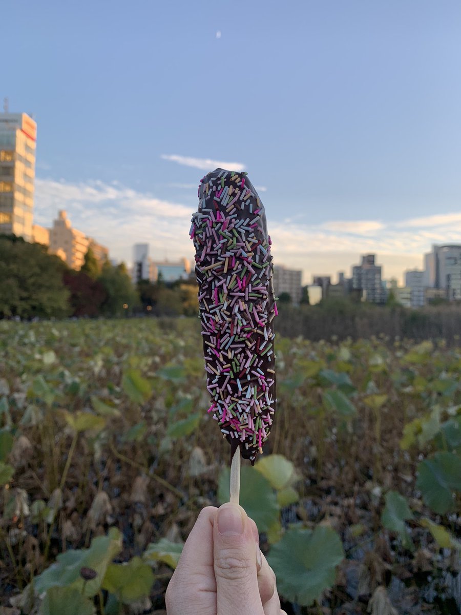 elly_lakes's tweet photo. It is important to celebrate every achievement in life! Do you agree? After receiving my new 3 years Japanese visa, last weekend I enjoyed great Italian and Japanese food, and I also met a special friend ๐ถ
#ellylakes #InsideJapan #celebration https://t.co/8pEasPzQYG