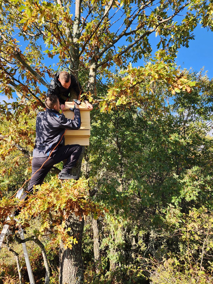 PPNEA's tweet photo. With the help of volunteers, we've installed the bat boxes at Prespa National Park. These dual-chambered wooden shelters, featuring an open design for optimal airflow, will provide a cozy roosting spot for the bats of Prespa. #PrespaNet https://t.co/EbtYUmffib