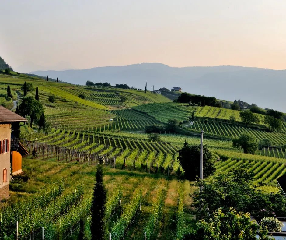 PierceInsGroup's tweet image. Explore the essential role of Farm &amp;amp; Ranch Insurance in securing your agricultural livelihood. Safeguard your future with our expert guidance. Request a quote now!
pierceinsgroup.com/newsblog/harve…
#PierceInsGroup #PierceInsuranceGroup #Texas #TexasInsurance #FarmInsurance #RanchInsurance