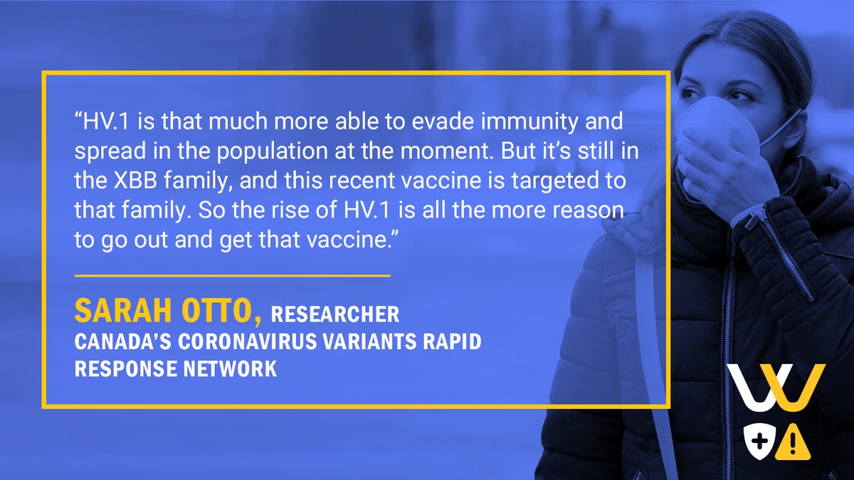 The bad news: A new COVID-19 variant, HV.1, has become the predominant form of the virus in many parts of Canada. The good news: Experts say the updated COVID vaccine is well-matched to protect against it.