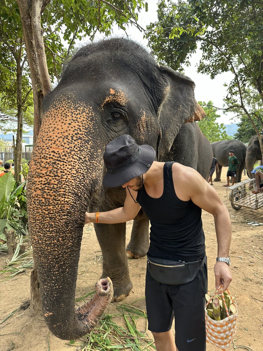 AnasKabotchi's tweet image. Vrai reconnait vrai #lelephant #v2v