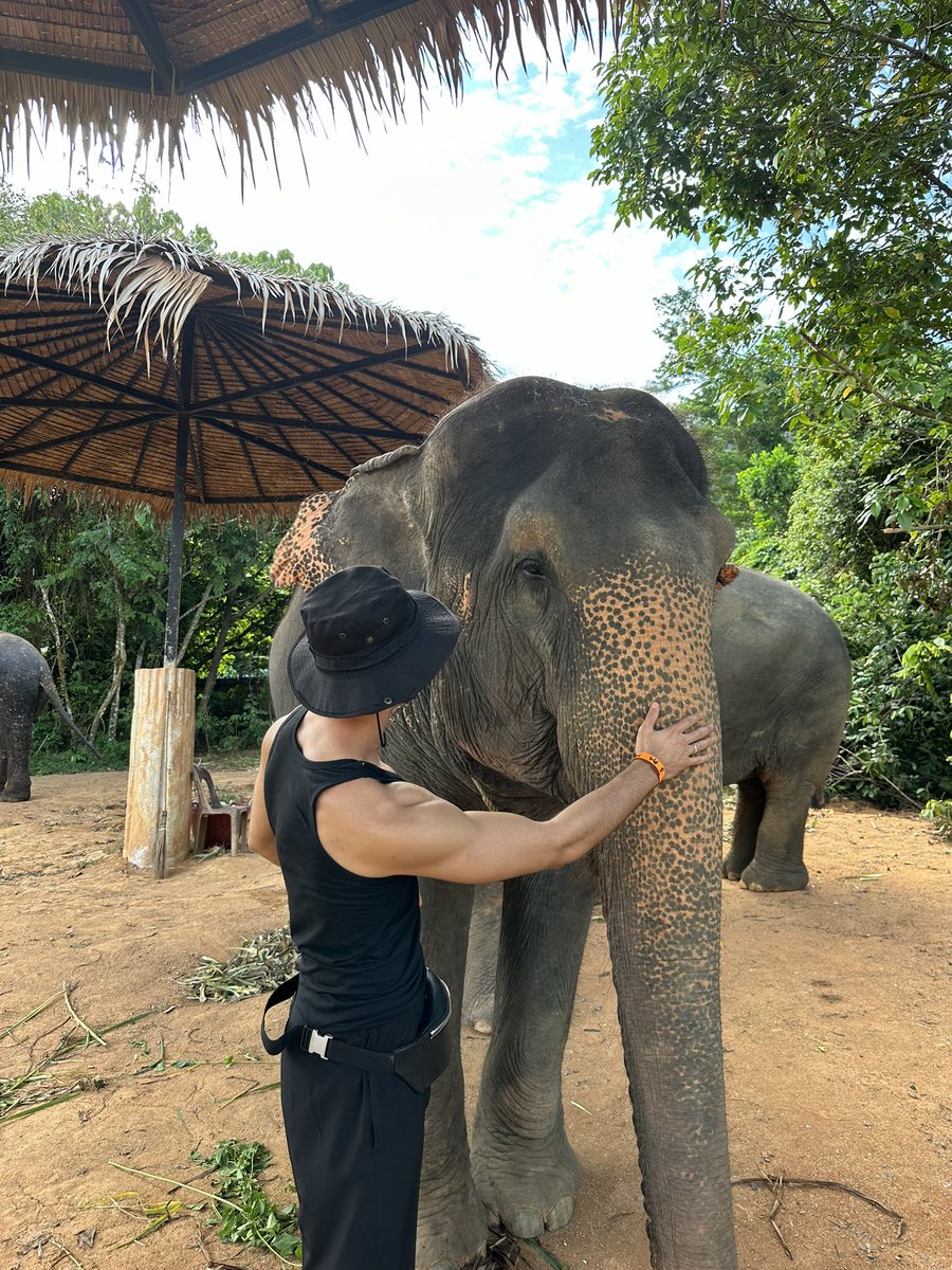 AnasKabotchi's tweet image. Vrai reconnait vrai #lelephant #v2v