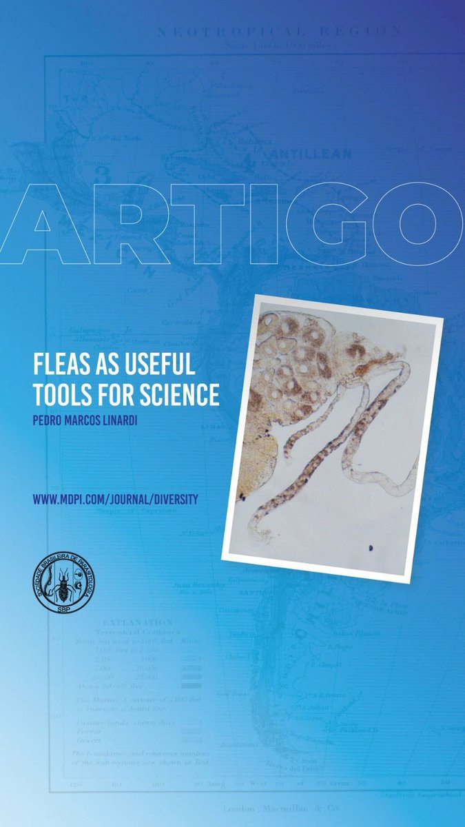 Fleas as Useful Tools for Science
mdpi.com/journal/divers…
