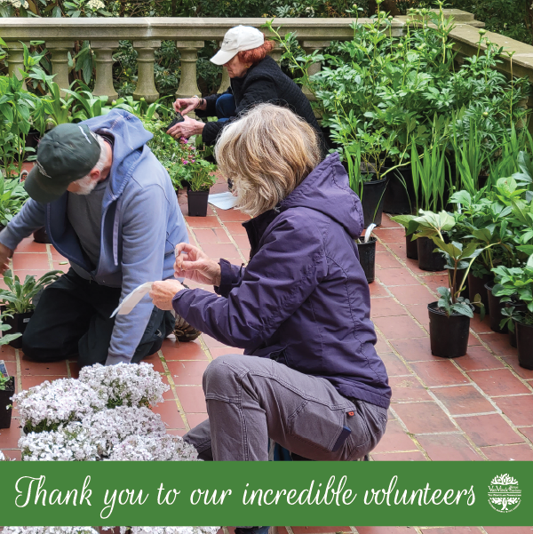 The work our volunteers do at #themontclairfoundation / #vanvleckhouseandgardens is crucial to our success. We are so grateful for their time, energy, and commitment to our work in the community.

#thankyou #volunteers #nonprofits #njnonprofits  #montclairnj #thankavolunteer