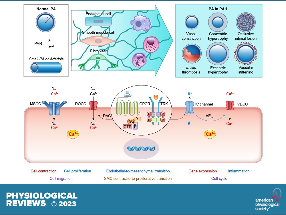 Physiological Reviews tweet media